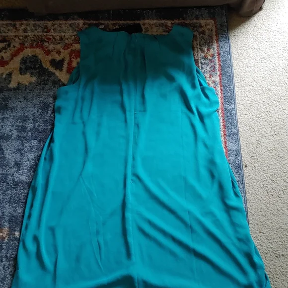 ** Brand New** Shift Dress - Picture 4 of 5